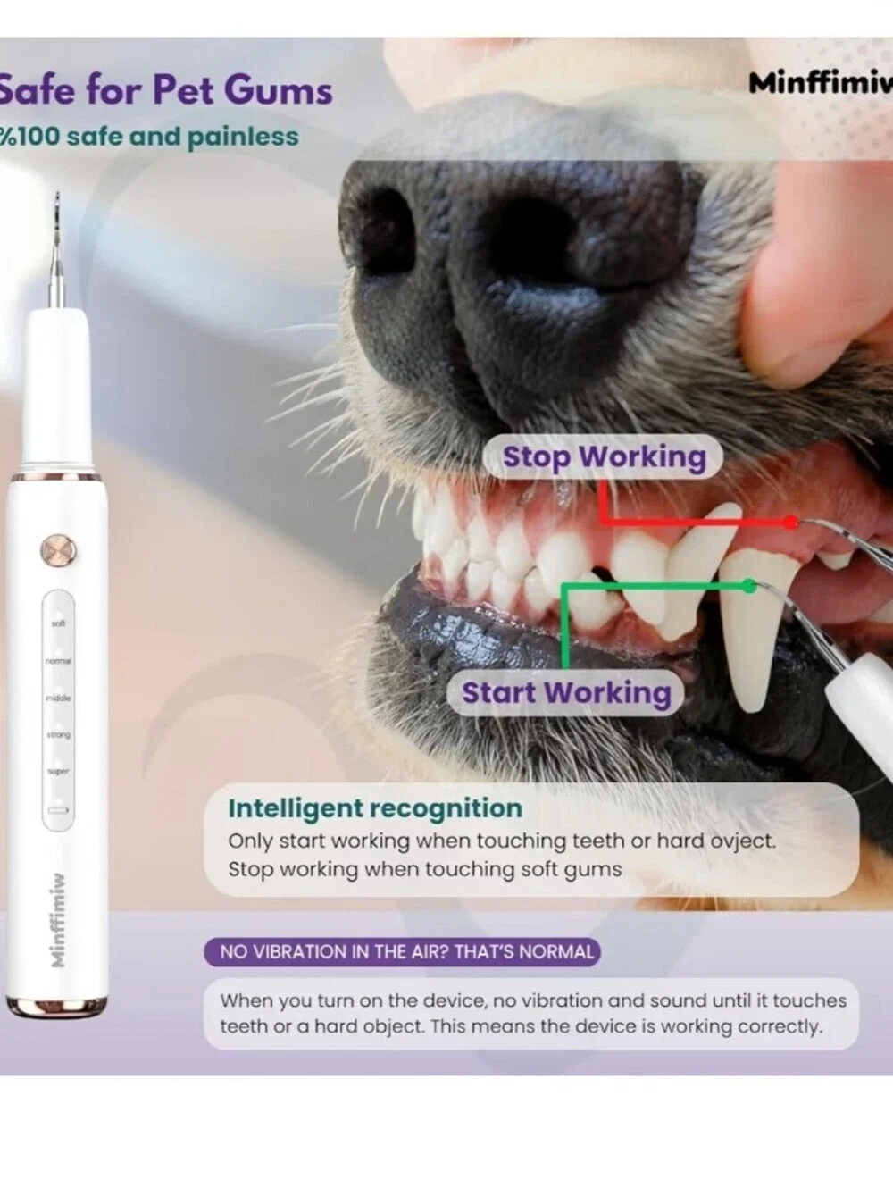 Dog Plaque Remover for Teeth